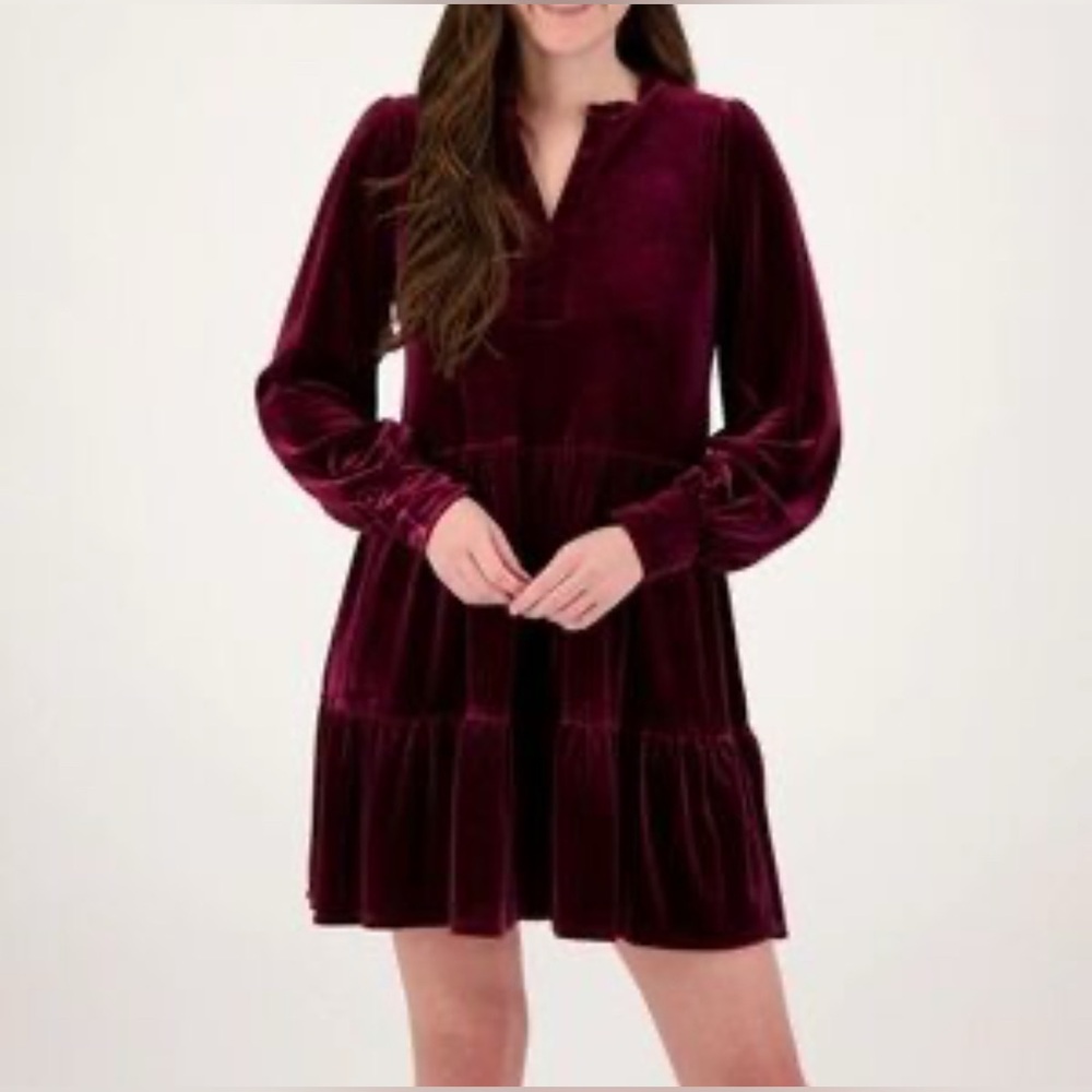 NWT 1. State Long Sleeve Velvet Dress in Burgundy